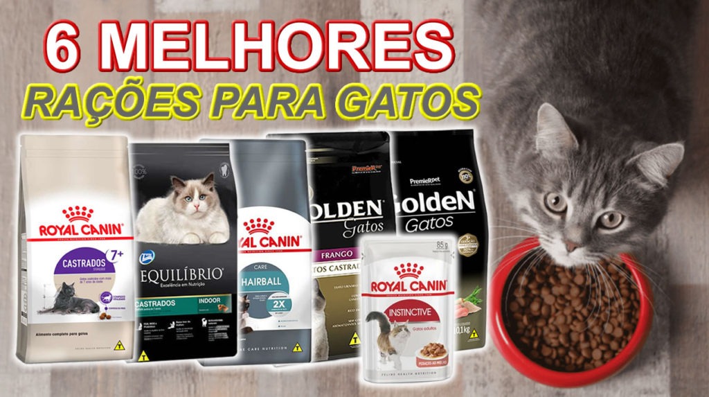 6 Melhores Rações Para Gatos Adultos e Filhotes Cupom Mestre