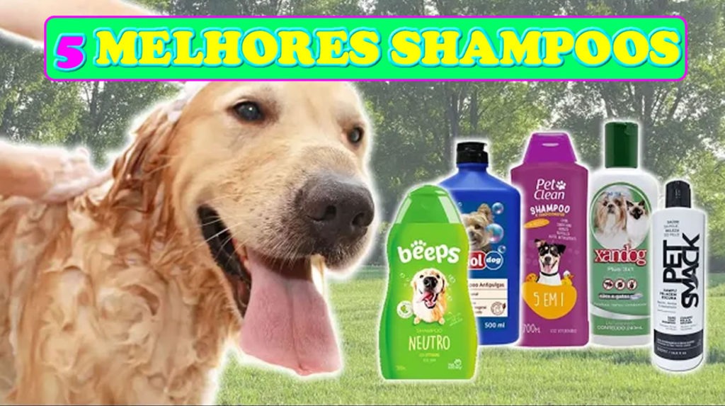 Melhores Shampoos Para Cachorro Cupom Mestre