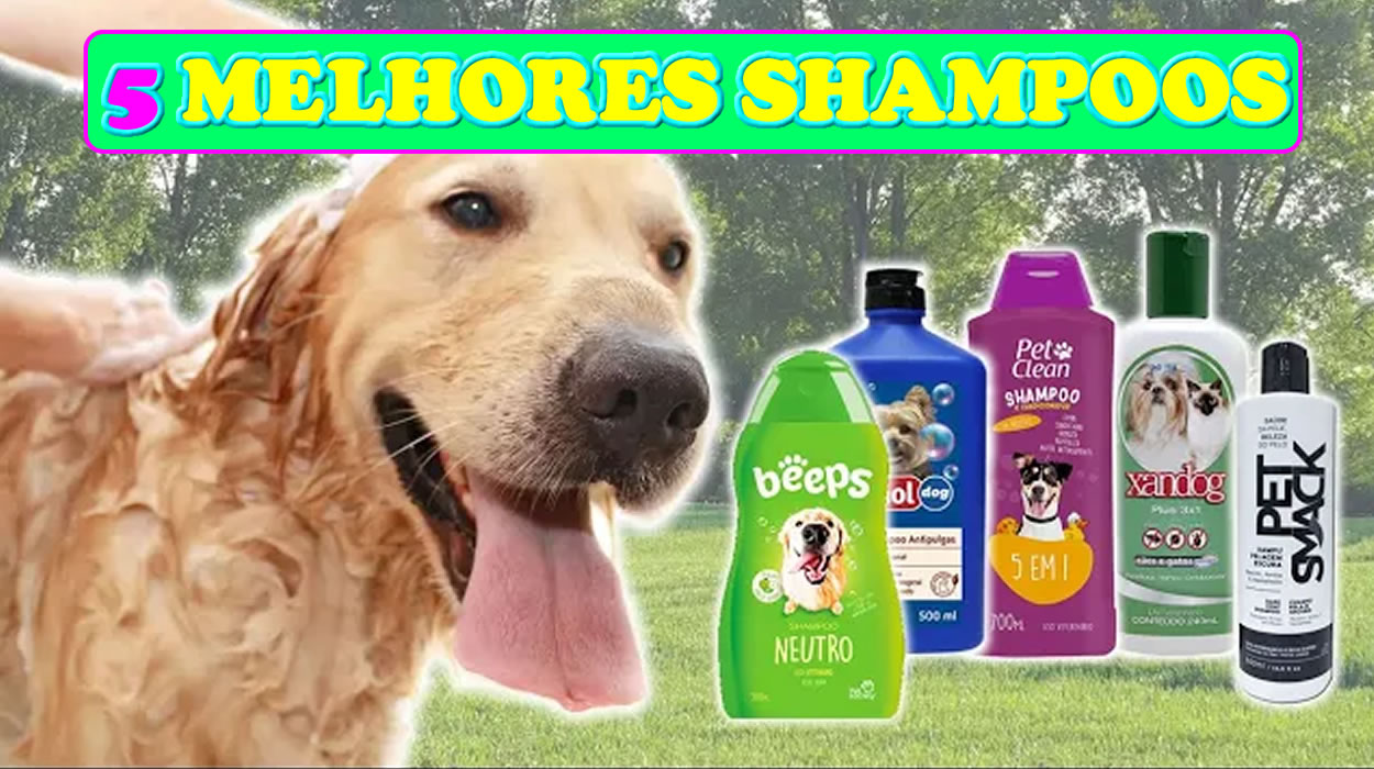 Melhores Shampoos Para Cachorro