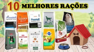 Melhores Rações Para Cachorro