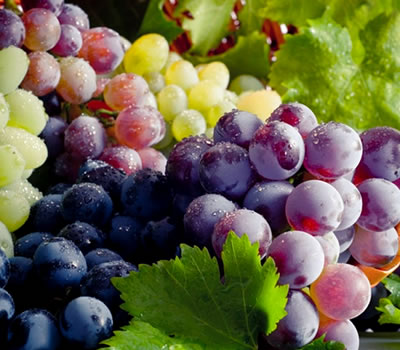 tipos de uva para espumantes