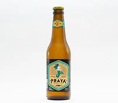 2 - Cerveja Artesanal Witbier PRAYA