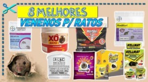 Melhores Venenos para Ratos