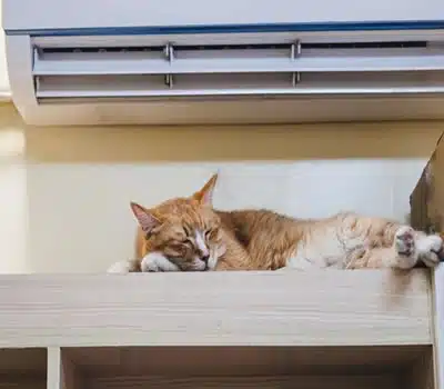 Nível de Ruído do Ar Condicionado Quente e Frio