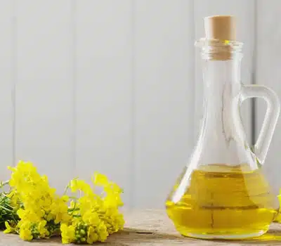 Melhores Óleos de Canola