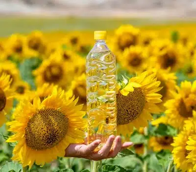 Melhores Óleos de Girassol