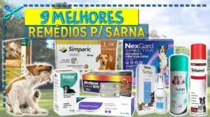 Melhores Remédios Para Sarna