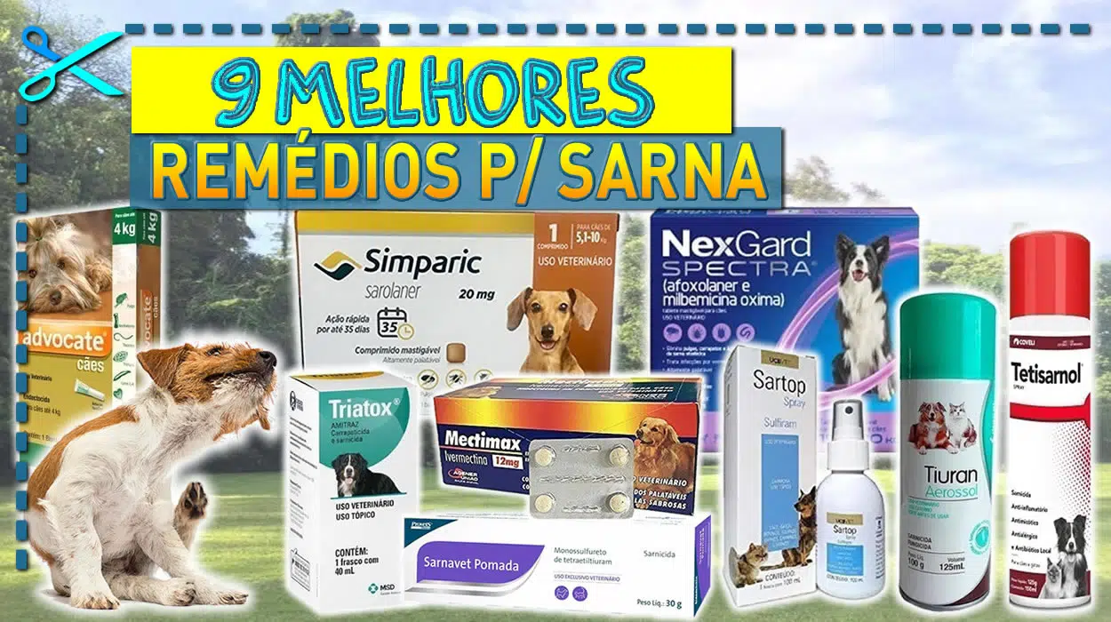 Melhores Remédios Para Sarna