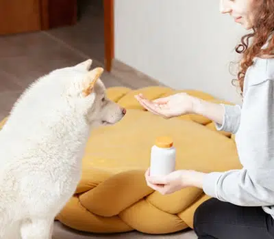 Quantidade da Embalagem dos Remédios para Sarna de Cachorro