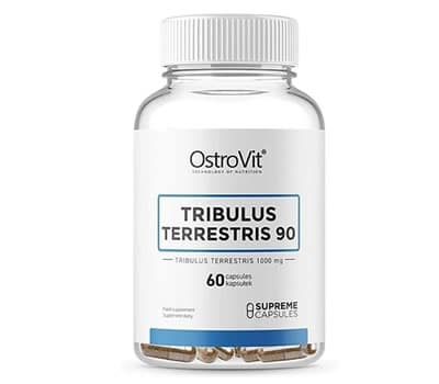 1 - Tribulus Terrestris 90 OSTROVIT