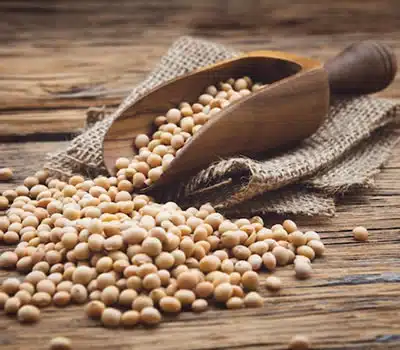 Tamanho das Embalagens de Proteínas de Soja