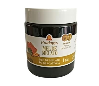 4 - Mel de Melato de Bracatinga PRODAPYS