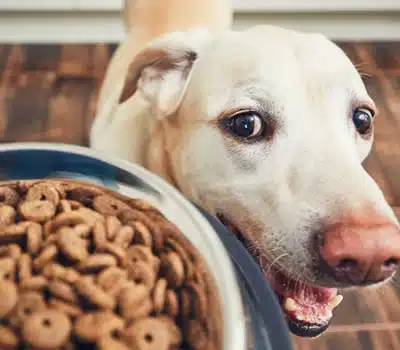 Capacidade dos Porta-Rações