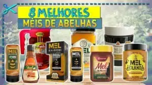 Melhores Méis de Abelhas