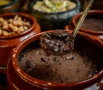 Tipos de Qualidade dos Melhores Feijões