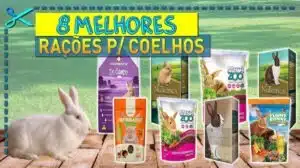 Melhores Rações para Coelhos