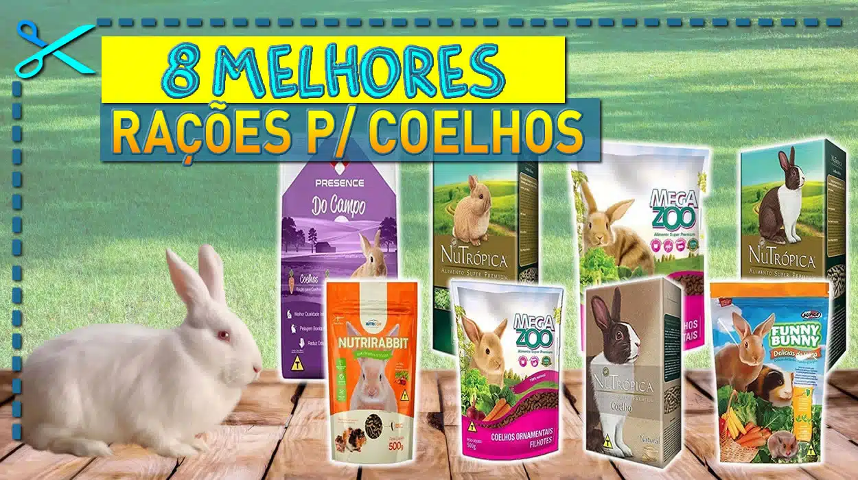 Melhores Rações para Coelhos