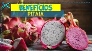 Benefícios da Pitaia