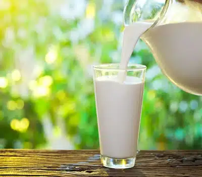 O Que é Leite Integral