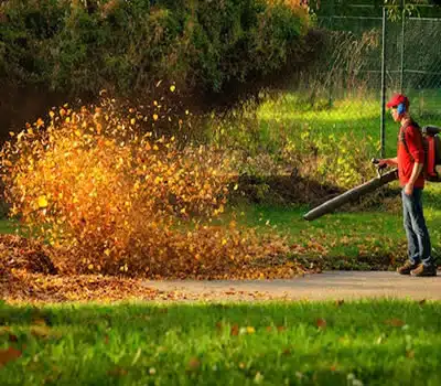 RPM dos Sopradores de Folhas a Gasolina