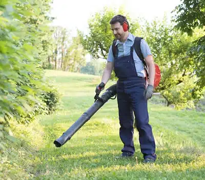 Tipos de Sopradores de Folhas a Gasolina
