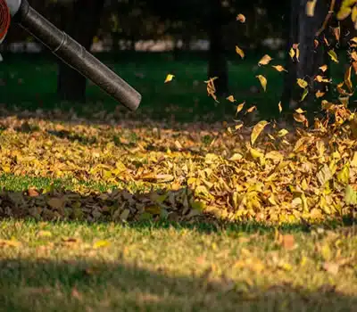 Vazão de Ar dos Sopradores de Folhas a Gasolina