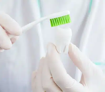 Cerdas Médias e Duras