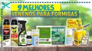 Melhores Venenos para Formigas