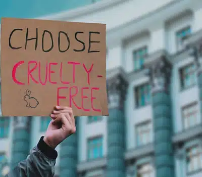 Removedores Cruelty-Free e Vegano