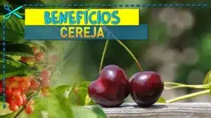 Beneficios da Cereja