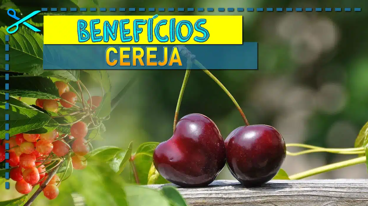 Beneficios da Cereja