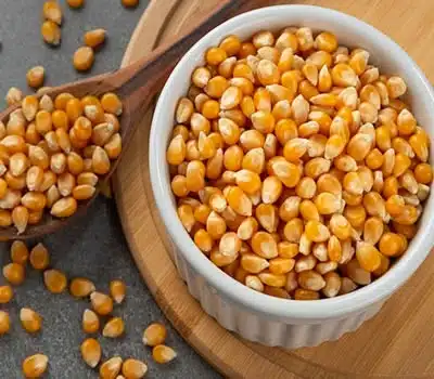 Milhos de Pipoca Premium