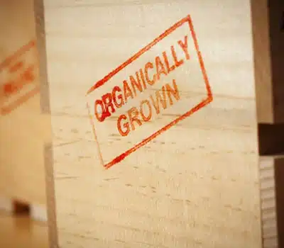 Milhos de Pipocas Orgânicos