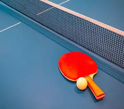 Acessórios das Mesas de Ping Pong