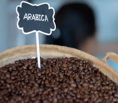 Café Arábica