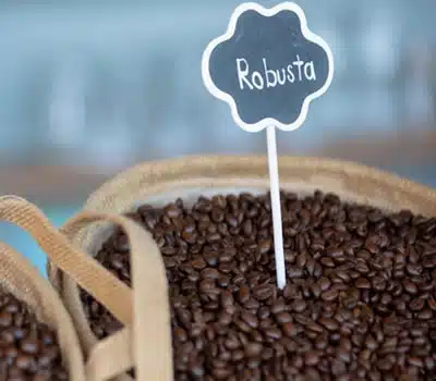 Café Robusta