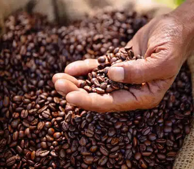 Cafés Solúveis Orgânicos 