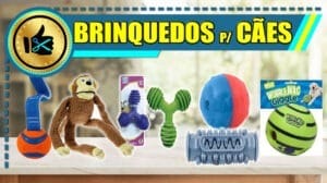 Melhores Brinquedos para Cães