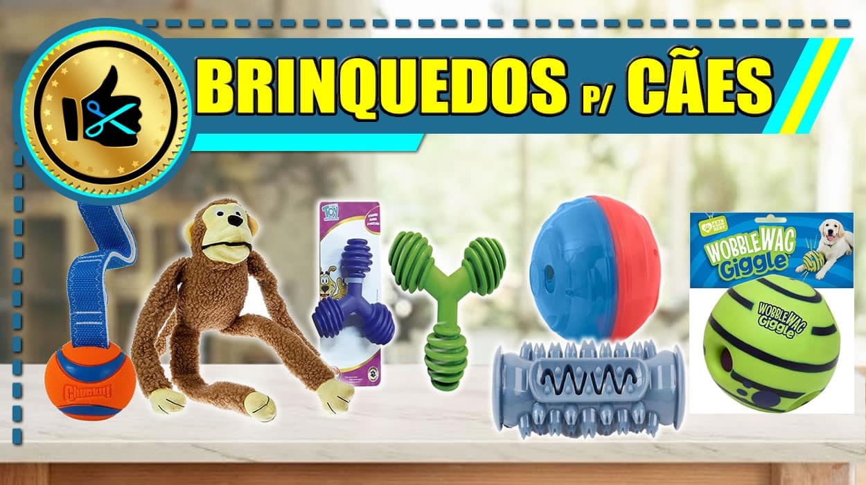 Melhores Brinquedos para Cães