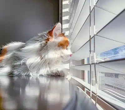 Persiana de Lâminas