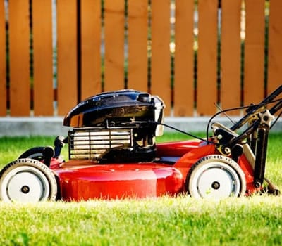 Altura do Corte da Grama