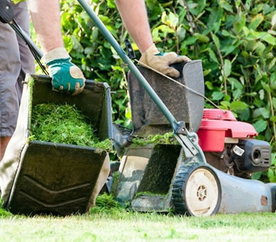 Cortadores de Grama a Gasolina com Recolhedor 