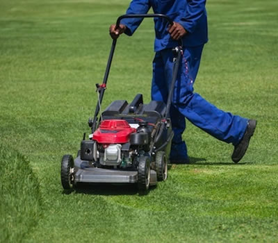 Cortadores de Grama a Gasolina com Tração 