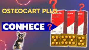 Cachorro com Dor nas Articulações no Frio Fica Mancando Osteocart Plus