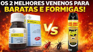 Melhores venenos para Baratas Formigas